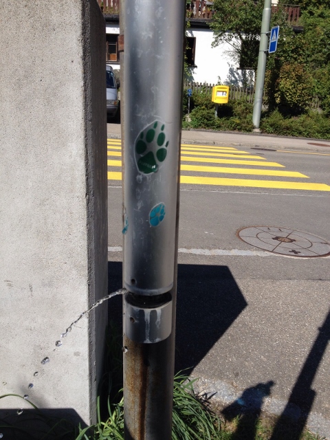 Foxtrail 2015